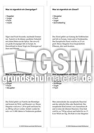 Quiz-Karten-Tiernamen 57.pdf